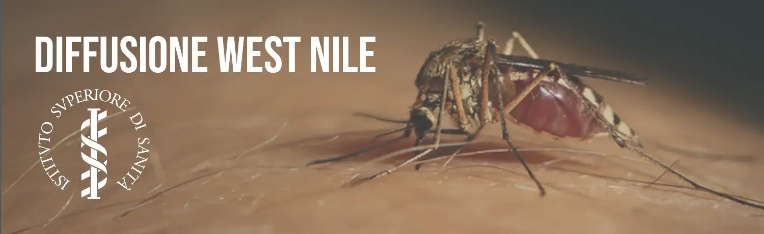West Nile in Umbria, intercettato precocemente. Attivati tutti i protocolli