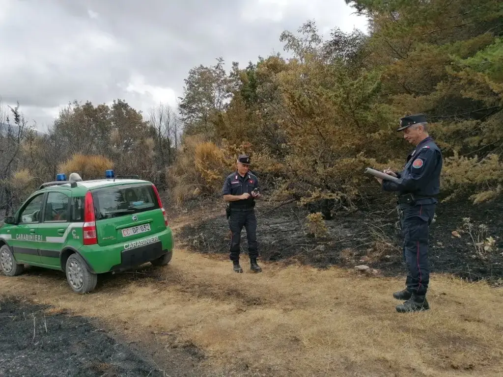 Crea incendio dopo aver bruciato potature, denunciato piromane