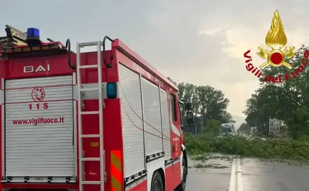 Temporali e alberi abbattuti dal vento, da giovedì nuovo peggioramento | Il meteo