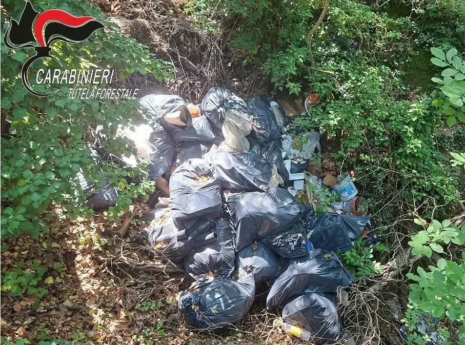 I social inchiodano i "furbetti" dei rifiuti. Multa da oltre 6.000 euro