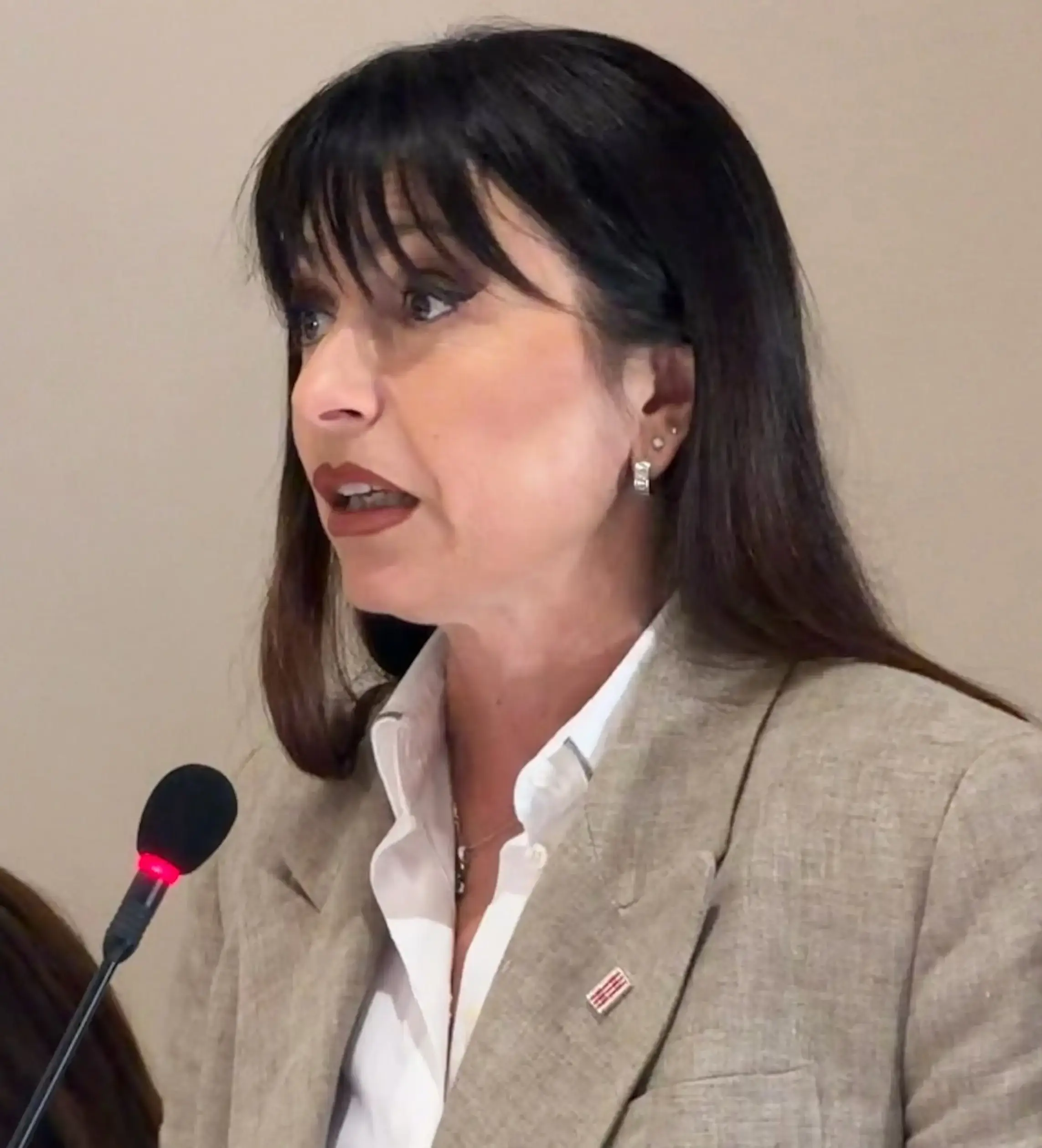Proietti ad Amatrice: "Ricostruire significa restituire un futuro all'Appennino"