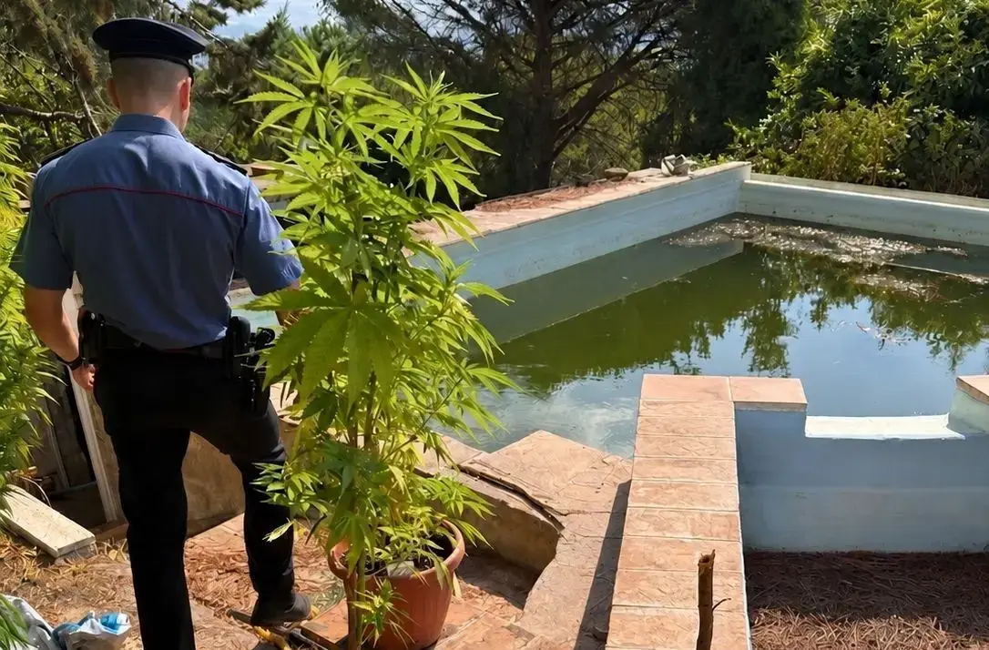 Quasi 6 kg di hashish e marijuana e una pistola: arrestati 27enne e 51enne