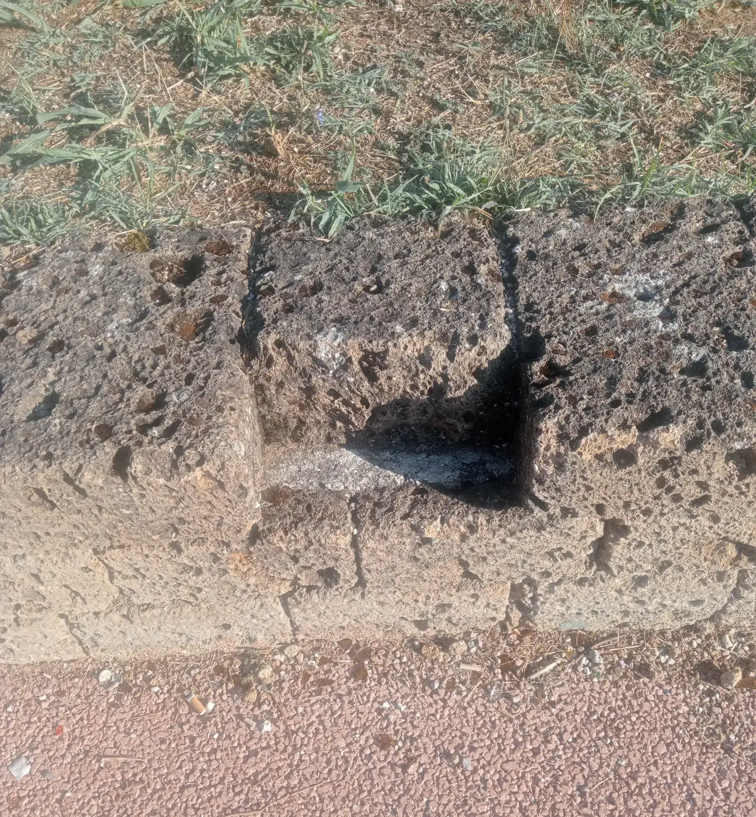 Ancora vandali al Parco Pascoletti