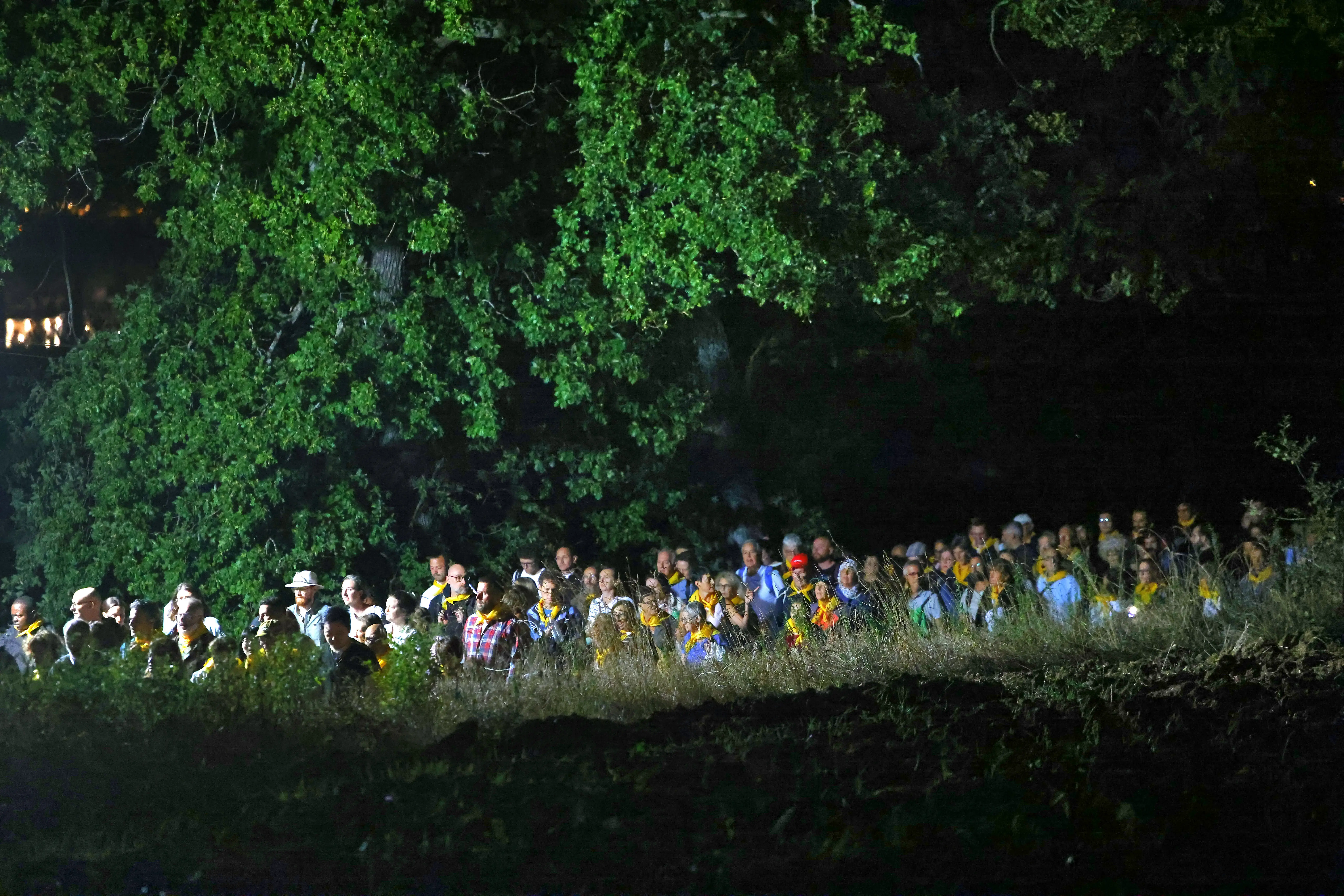 Nella notte campane a festa per San Francesco (Foto e Video) | Artime alla messa di mezzanotte: "Nella morte l'Assisiate va incontro alla vita"