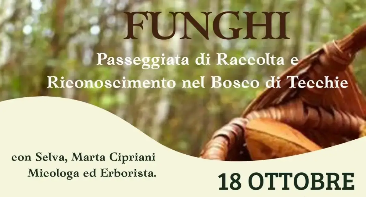 Alla scoperta dei funghi nel Bosco di Tecchie: passeggiata con Marta Cipriani