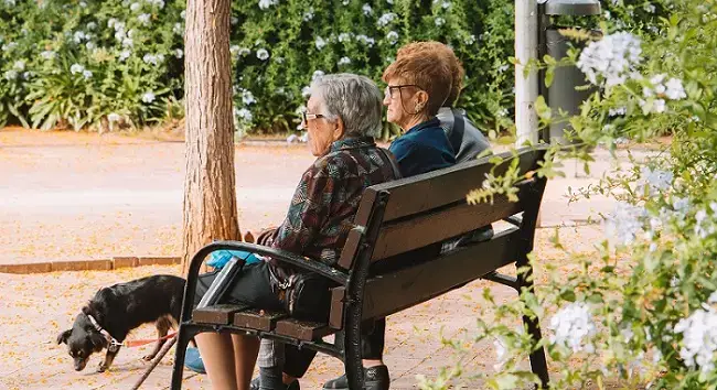 Eugubino-Gualdese invecchia più dell’Italia, quasi un residente su tre è over 65
